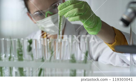 Woman scientist wearing a lab coat, green gloves and mask holding a test tube with plants inside, close up. Science and medicine concepts 119303041