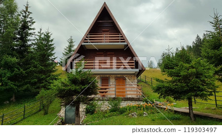 A quaint little wooden house situated right in the middle of a lush forest A quaint little wooden house situated right in the middle of a lush forest 119303497
