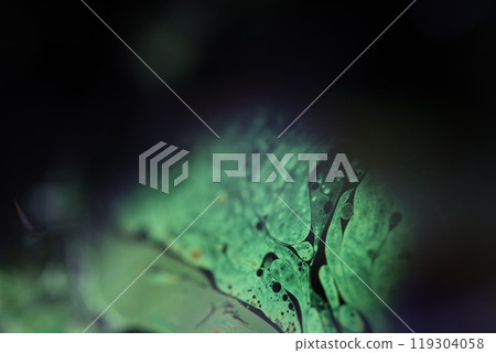 Green shampoo, creamy liquid, Cosmetics in macro, white copy space, rainbow reflections, clean background, abstraction 119304058