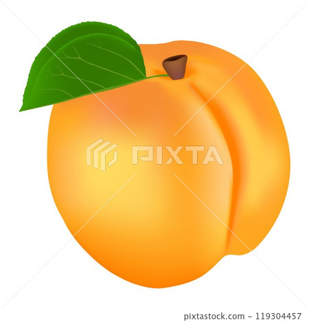 Apricot with a leaf on a white background. 119304457
