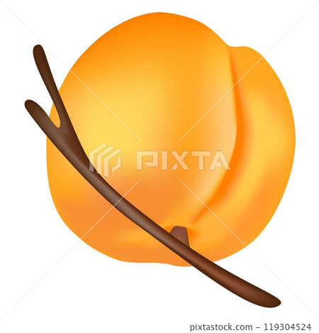 Apricot on a branch. 119304524
