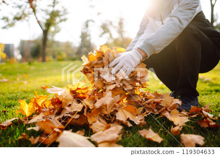 Harvesting autumn leaves. Man cleans the autumn park from yellow leaves. Volunteering, cleaning. Harvesting autumn leaves. Man cleans the autumn park from yellow leaves. Volunteering, cleaning. 119304633