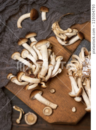Fresh raw brown poplar mushrooms or velvet pioppini mushrooms on dark wood top view 119304793