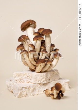 Fresh raw brown poplar mushrooms or velvet pioppini mushrooms on stone on beige close up Fresh raw brown poplar mushrooms or velvet pioppini mushrooms on stone on beige close up 119304794
