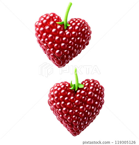 Loganberries dark red elongated and glossy soft heart outline with gentle highlights Food and culinary 119305126