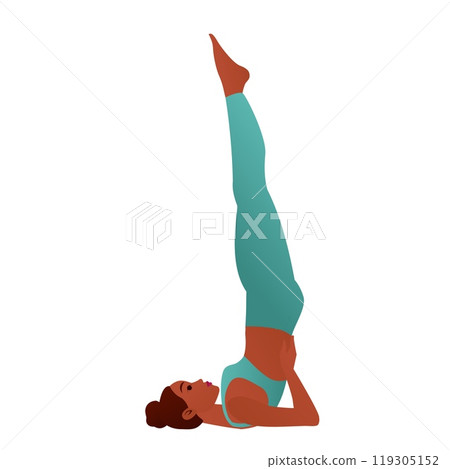 Yogini in Plow Pose Halasana Inverted Yoga Pose with Raised Legs Vector Illustration Yogini in Plow Pose Halasana Inverted Yoga Pose with Raised Legs Vector Illustration 119305152