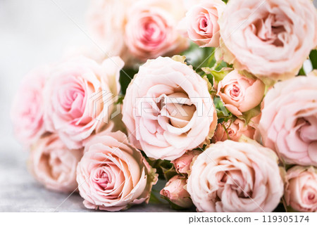 Fresh soft pink roses flowers on gray background, selective focus 119305174