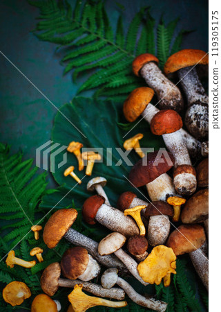 Fresh uncooked wild mushrooms on rustic green background, top view Fresh uncooked wild mushrooms on rustic green background, top view 119305175