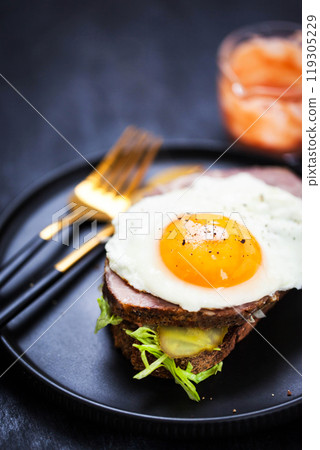 Gourmet sandwich with roasted pork (ham), pickled cucumber, lettuce, sauce, artisan bread and fried egg Gourmet sandwich with roasted pork (ham), pickled cucumber, lettuce, sauce, artisan bread and fried egg 119305229