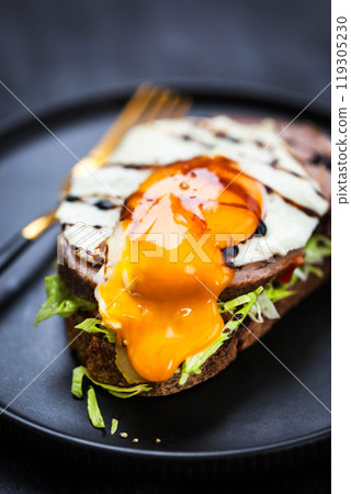 Gourmet sandwich with roasted pork (ham), pickled cucumber, lettuce, sauce, artisan bread and fried egg Gourmet sandwich with roasted pork (ham), pickled cucumber, lettuce, sauce, artisan bread and fried egg 119305230