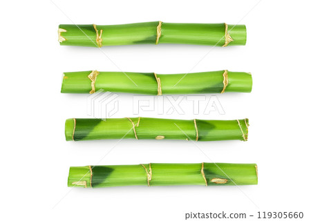 Green bamboo isolated on white background. Top view. Flat lay Green bamboo isolated on white background. Top view. Flat lay 119305660