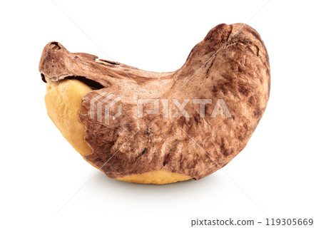 cashew nut with shell isolated on white background 119305669