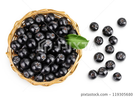 Chokeberry with leaf in a wicker basket isolated on white background. Black aronia. Top view. Flat lay 119305680