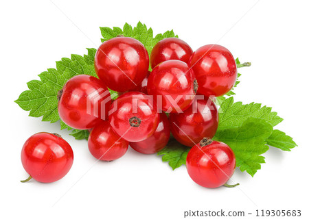 Red currant berries isolated on white background 119305683