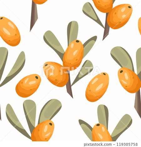 Seamless pattern with sea buckthorn. Natural fresh ripe tasty berries. Vector illustration for background, packaging, textile, fabric and various other designs 119305758