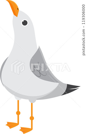 Cartoon seagull standing with its beak open looking up. This bird illustration has orange beak and legs and grey and white feathers Cartoon seagull standing with its beak open looking up. This bird illustration has orange beak and legs and grey and white feathers 119306000