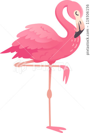 Pink flamingo is standing on one leg, with its neck curved in an elegant s shape. Its plumage is a beautiful shade of pink 119306156