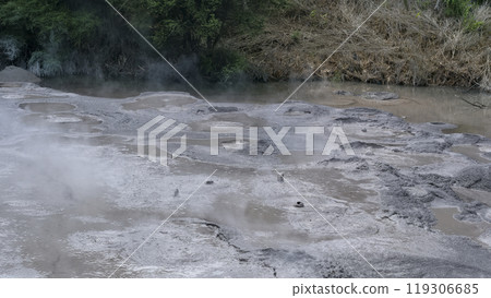 Mud pool at Te Puia, Rotorua, New Zealand 119306685