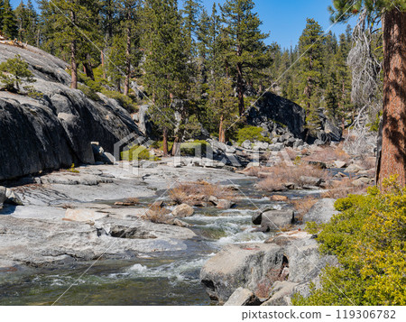 Sunny view of the river landscape in Yosemite National Park Sunny view of the river landscape in Yosemite National Park 119306782