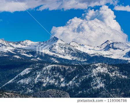 Sunny view of the landscape at Yosemite National Park 119306786