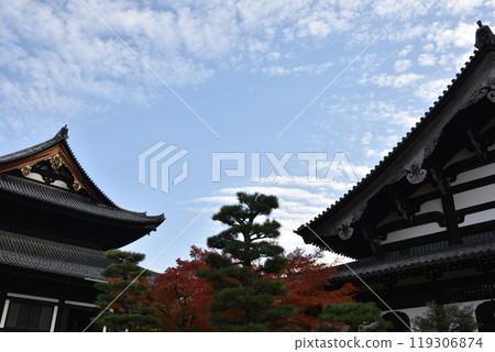 秋天的東福寺 - 大雄寶殿和禪堂【重要文化遺產】 秋天的東福寺 - 大雄寶殿和禪堂【重要文化遺產】 119306874