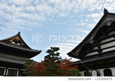 秋天的東福寺 - 大雄寶殿和禪堂【重要文化遺產】 秋天的東福寺 - 大雄寶殿和禪堂【重要文化遺產】 119306875