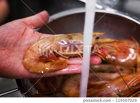 Raw fresh langoustines in colander ready to cook Raw fresh langoustines in colander ready to cook 119307029