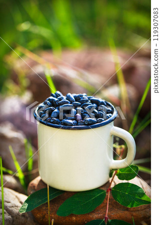 Fresh ripe summer edible blue honeysuckle in enamel mug 119307083