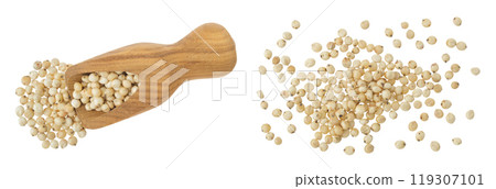 Sorghum seeds in wooden scoop isolated on white background. Top view. Flat lay. Sorghum seeds in wooden scoop isolated on white background. Top view. Flat lay. 119307101