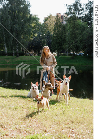 oung female dog sitter walks with dogs in park by lake. concept of friendship, pet, recreation. 119307135