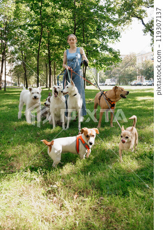 young woman dog sitter walks with dogs on lawn in park. concept of friendship, pet, recreation.  119307137