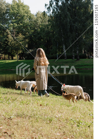 oung female dog sitter walks with dogs in park by lake. concept of friendship, pet, recreation. 119307165
