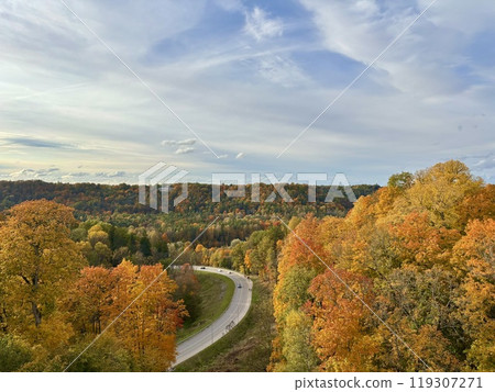 Autumn view of asphalt road, golden autumn  119307271