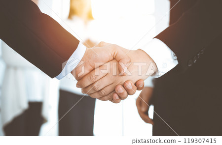 Businessman and woman shaking hands with colleagues at the background. Handshake at meeting in sunny office 119307415