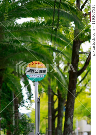Bus stop in the park Bus stop in the park 119307533