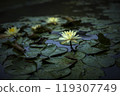 睡蓮 119307749