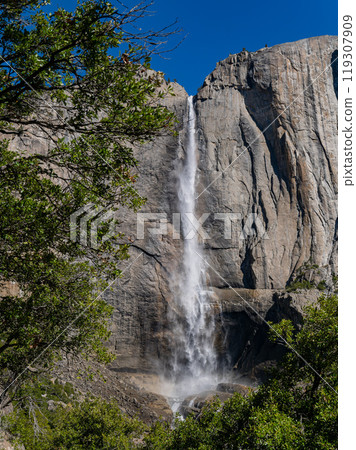 Sunny view of the Upper Yosemite Falls in Yosemite National Park Sunny view of the Upper Yosemite Falls in Yosemite National Park 119307909