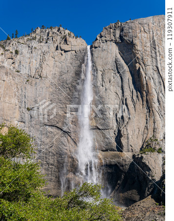 Sunny view of the Upper Yosemite Falls in Yosemite National Park Sunny view of the Upper Yosemite Falls in Yosemite National Park 119307911