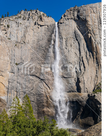 Sunny view of the Upper Yosemite Falls in Yosemite National Park Sunny view of the Upper Yosemite Falls in Yosemite National Park 119307916