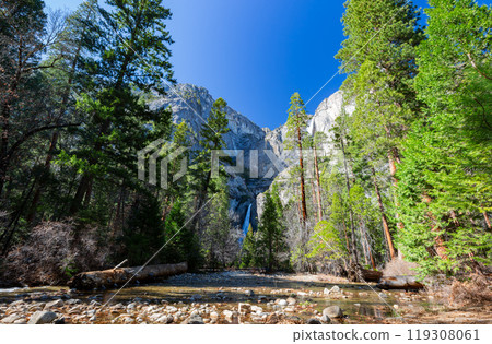 Sunny view of the Lower Yosemite Falls in Yosemite National Park 119308061
