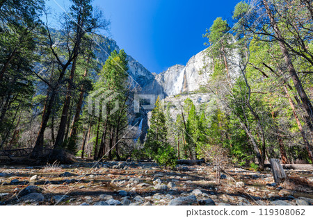 Sunny view of the Lower Yosemite Falls in Yosemite National Park 119308062