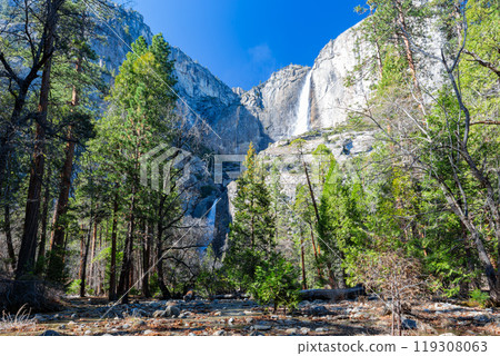 Sunny view of the Lower Yosemite Falls in Yosemite National Park 119308063