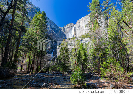 Sunny view of the Lower Yosemite Falls in Yosemite National Park Sunny view of the Lower Yosemite Falls in Yosemite National Park 119308064