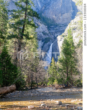 Sunny view of the Lower Yosemite Falls in Yosemite National Park 119308084