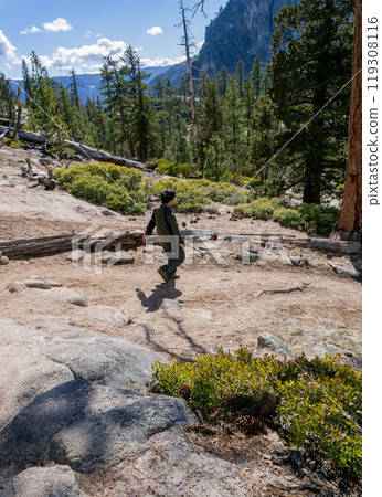 Sunny view of the landscape at Yosemite National Park 119308116