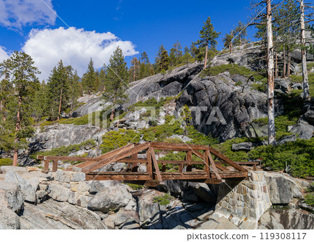 Sunny view of the landscape at Yosemite National Park 119308117