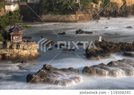 Morning at Goura Beach, Kitaibaraki City, Ibaraki Prefecture 119308291