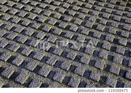 植被塊(植被連鎖塊/綠化塊) 植被塊(植被連鎖塊/綠化塊) 119308475