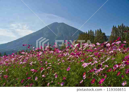 生駒高原R6年 119308651