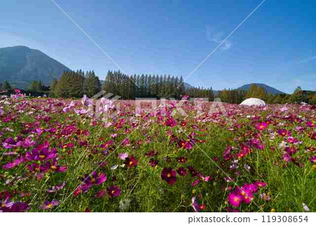 生駒高原R6年 119308654